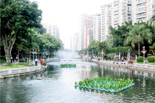 黑臭水体整治