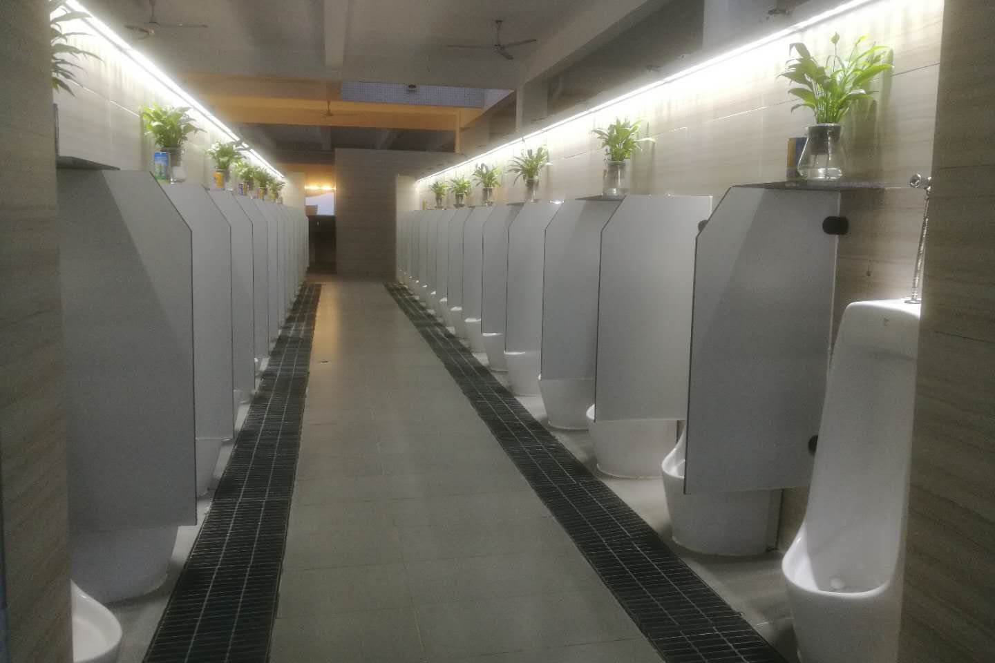 展示
