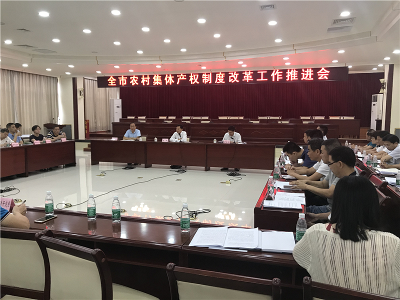 全市农村集体产权制度改革工作推进会